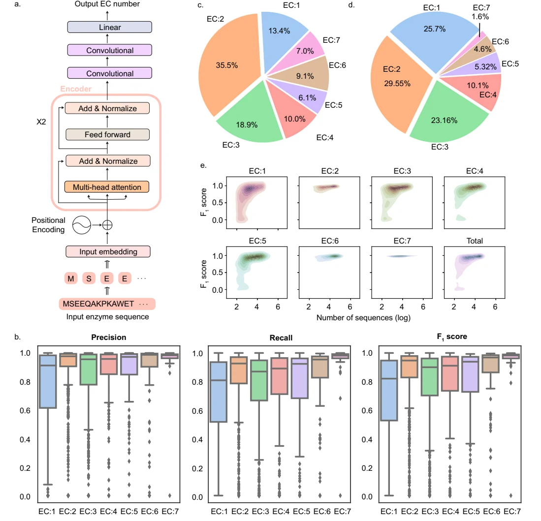 Figure 1 from Functional annotation of enzyme-encoding genes using deep learning with transformer layers
