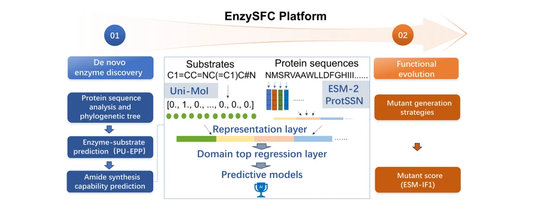 Figure 1 from Artificial Intelligence Platform EnzySFC for Enzyme Screening and Functional Conversion: Completely Redirecting Nitrilase to Nitrile Hydratase Function