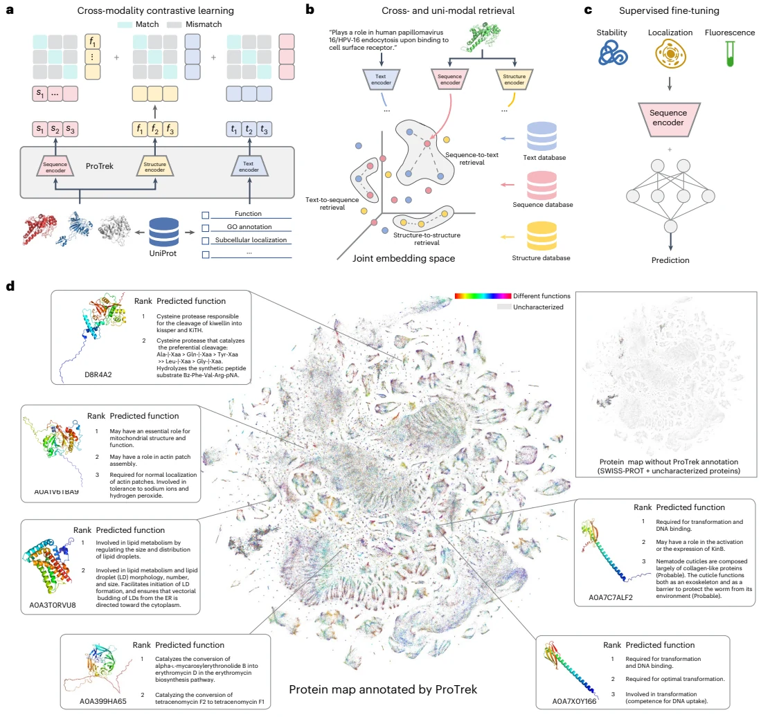 Figure 1 from A trimodal protein language model enables advanced protein searches