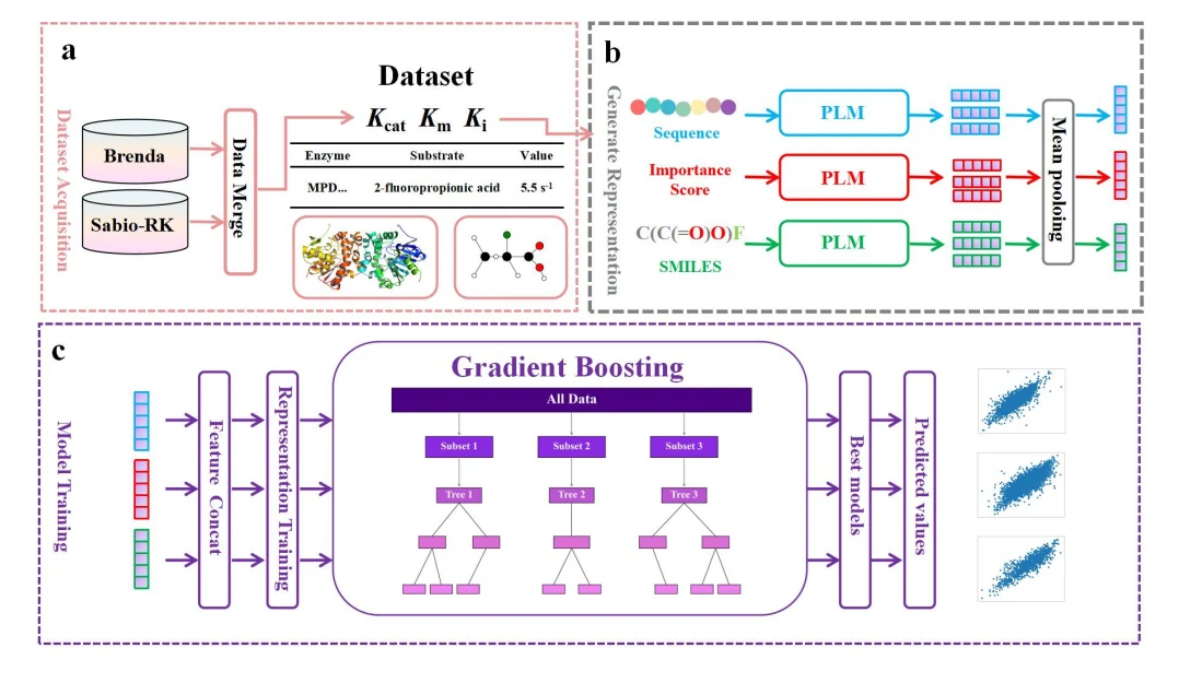 Figure 1 from SAKPE: A Site Attention Kinetic Parameters Prediction Method for Enzyme Engineering