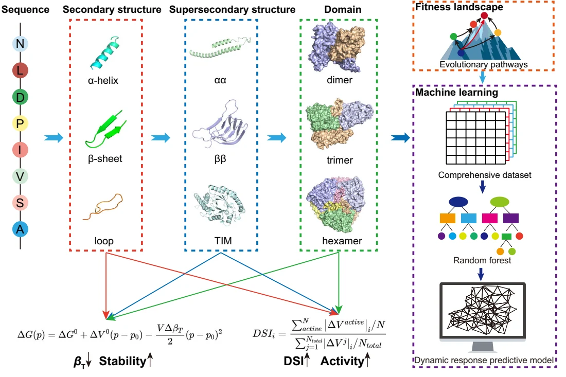 Figure 1 from Tailoring industrial enzymes for thermostability and activity evolution by the machine learning-based iCASE strategy