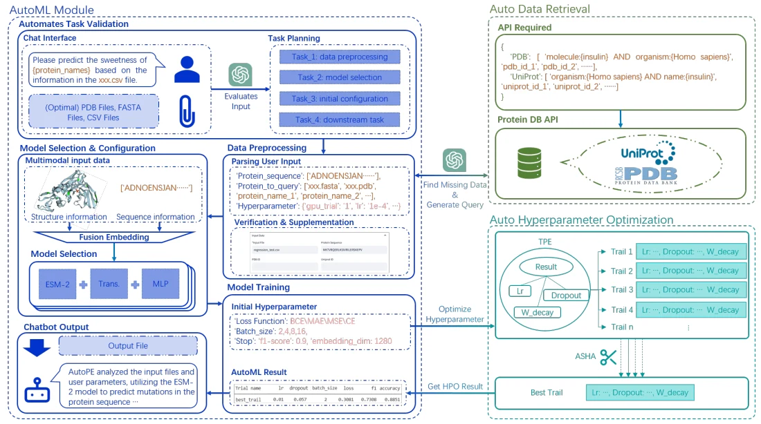 Figure 1 from AutoProteinEngine: A Large Language Model Driven Agent Framework for Multimodal AutoML in Protein Engineering: Framework diagram linking the chat interface, task validation, model selection, data retrieval, and hyperparameter optimization.