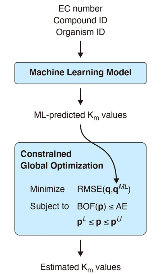 Figure 1 from MLAGO: machine learning-aided global optimization for Michaelis constant estimation of kinetic modeling