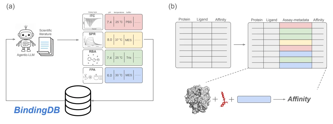 Figure 1 from Assay-Aware BindingDB: Curating Experimental Context for Binding Affinity Prediction: Two-panel overview of literature-based assay metadata extraction and context-aware binding-affinity prediction.