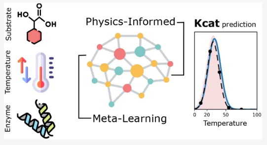 Graphical abstract from Integrating Arrhenius Constraints with Lineage-Aware Meta-Learning for Few-Shot Prediction of Temperature-Dependent Enzyme Kinetics: Graphical overview connecting molecular and sequence inputs, physics-informed meta-learning, and a temperature-dependent kinetic prediction.