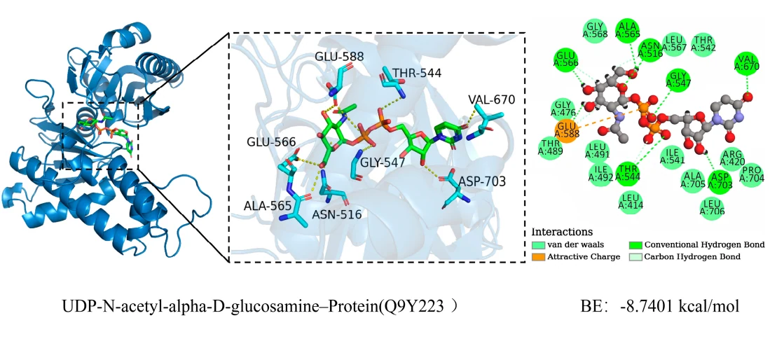 Figure 1 from UniKineG: Unified-Coordinate Geometric Graphs Enable Robust Enzyme Kinetic Prediction