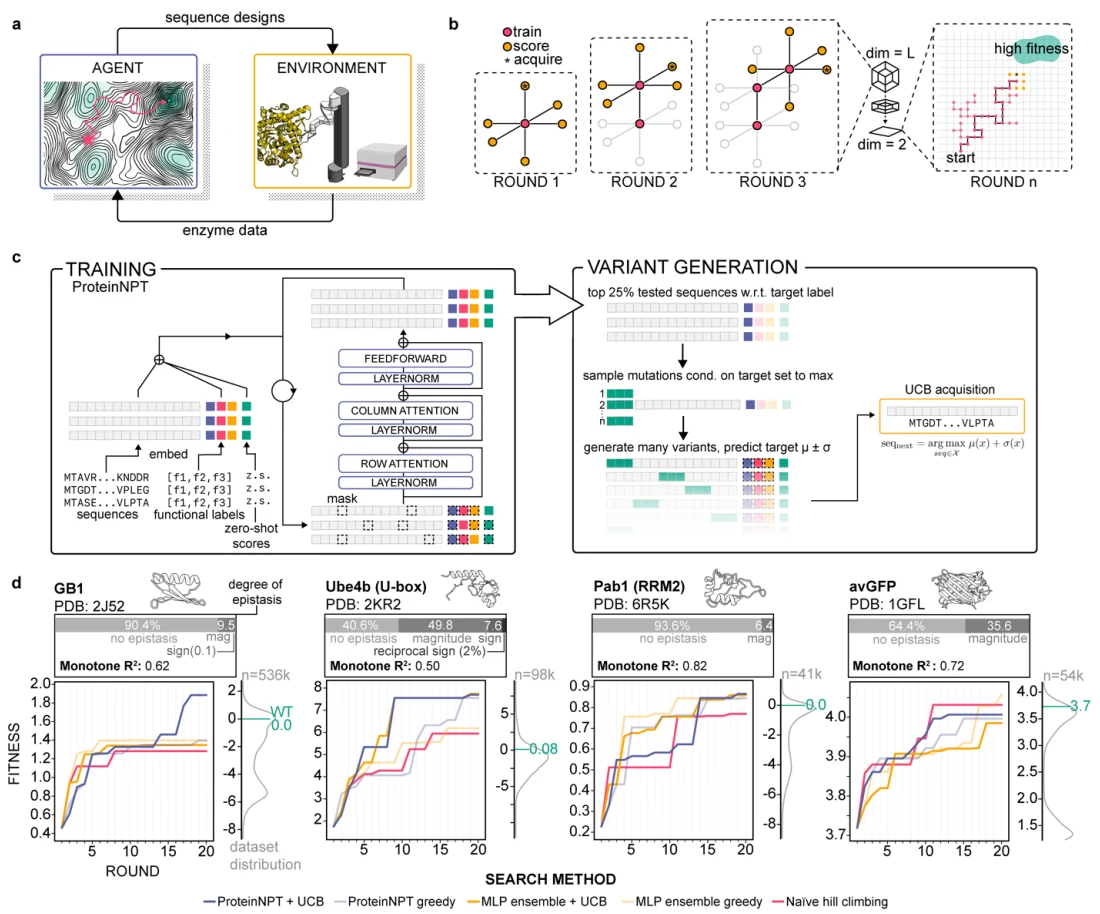 Figure 1 from Learning protein function through autonomous experimental interaction