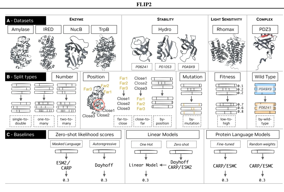 Figure 1 from FLIP2: Expanding Protein Fitness Landscape Benchmarks for Real-World Machine Learning Applications