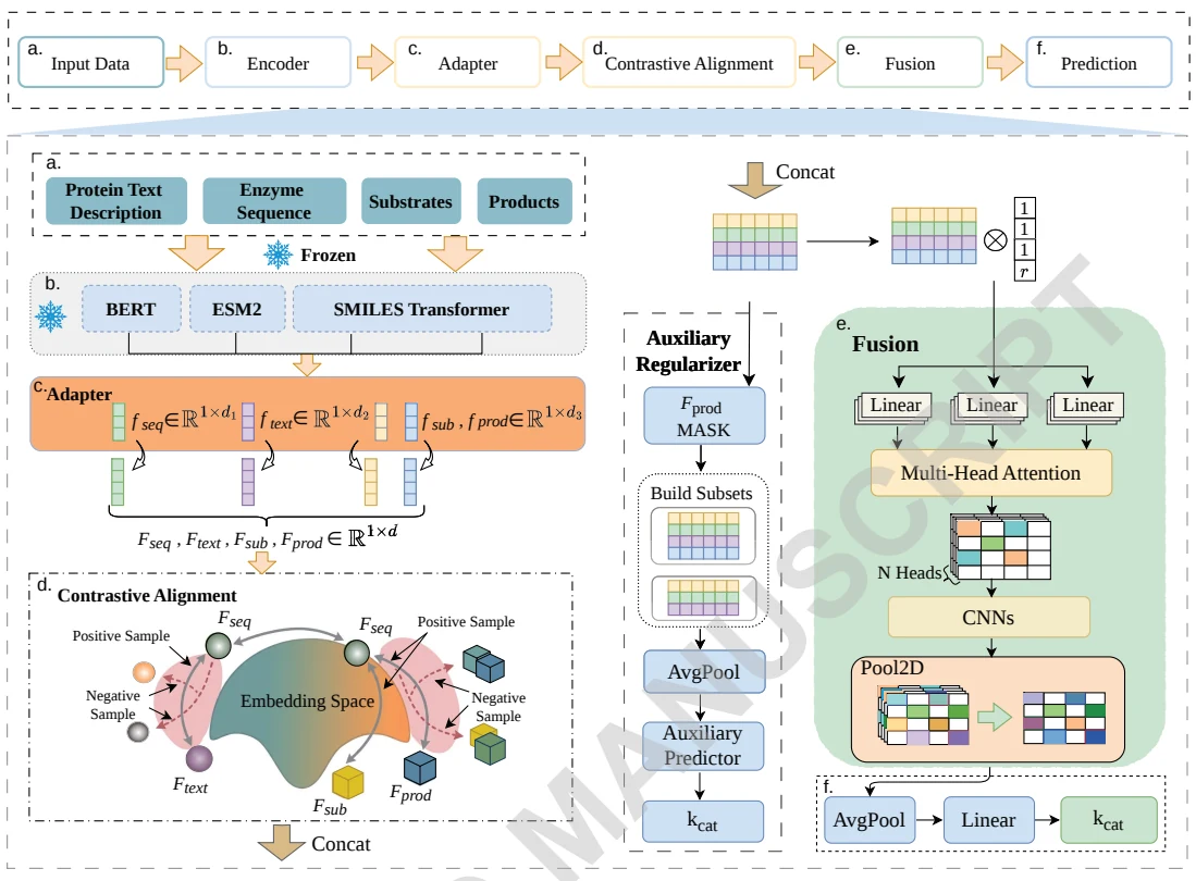 Figure 1 from Katalyst: Knowledge-Guided Semantic Alignment via Contrastive Learning for Enzyme Turnover Prediction: Overall model framework showing multimodal input encoding, adapters, contrastive alignment, feature fusion, and prediction.