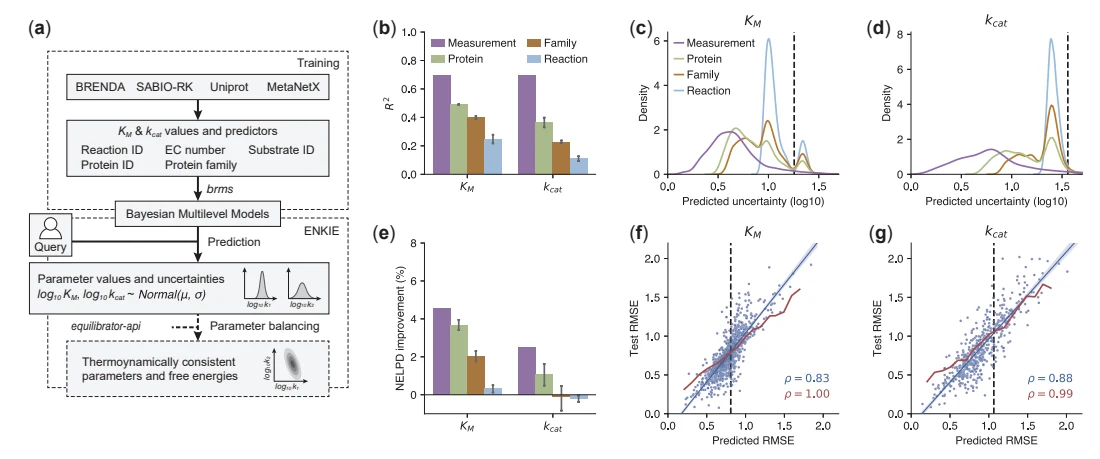 Figure 1 from ENKIE: a package for predicting enzyme kinetic parameter values and their uncertainties