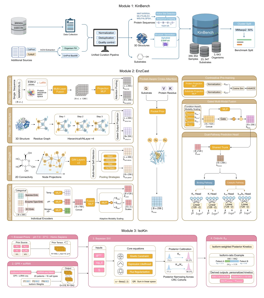 Figure 1 from EnzCast: Prediction of Patient-Specific Enzymatic Kinetics thrugh Multi-Modal Deep Learning and Isoform-Resolved Bayesian Inference based on Single-Cell Transcriptomics