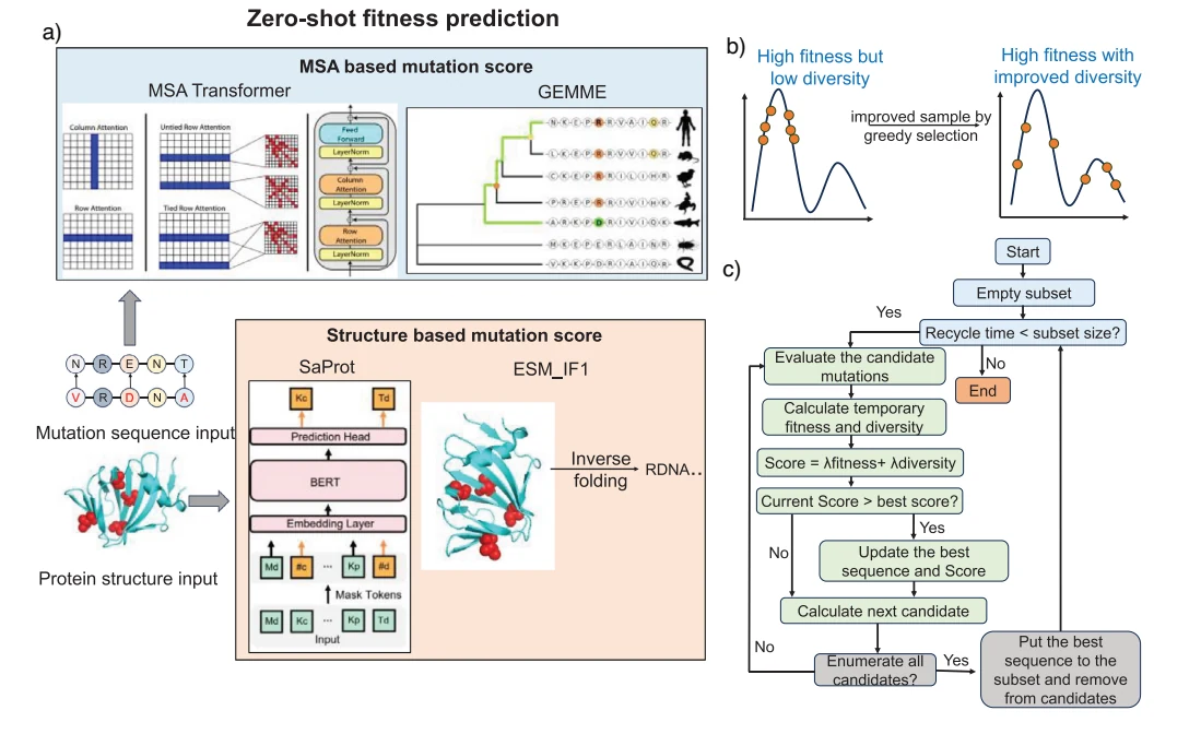 Figure 1 from A Multimodal Ensemble Framework for Optimal Mutant Prediction and Computational Enzyme Engineering