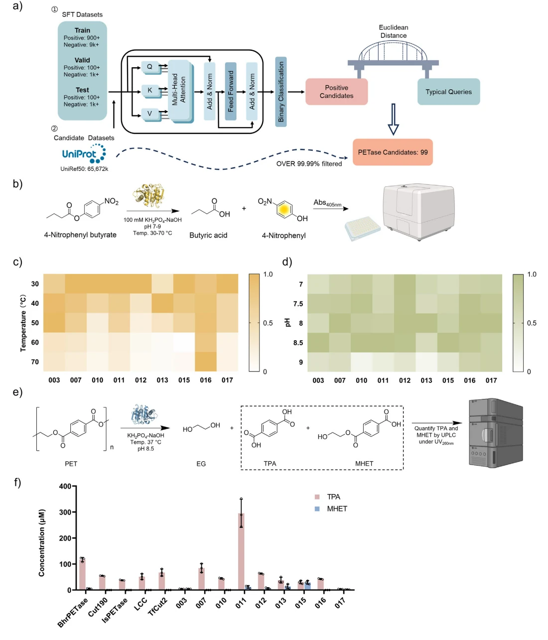 Figure 1 from Deep Learning-Driven Discovery and Engineering of an Efficient PETase for Depolymerization and Detoxification of PET Microplastics Under Physiological Conditions