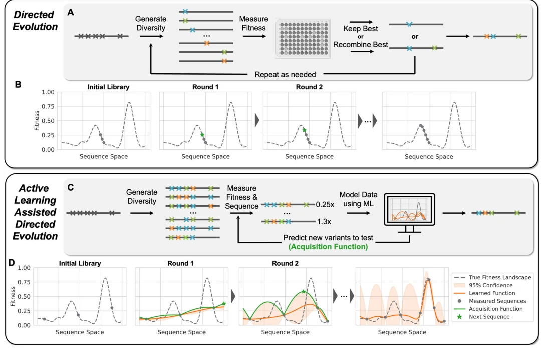 Figure 1 from Active learning-assisted directed evolution