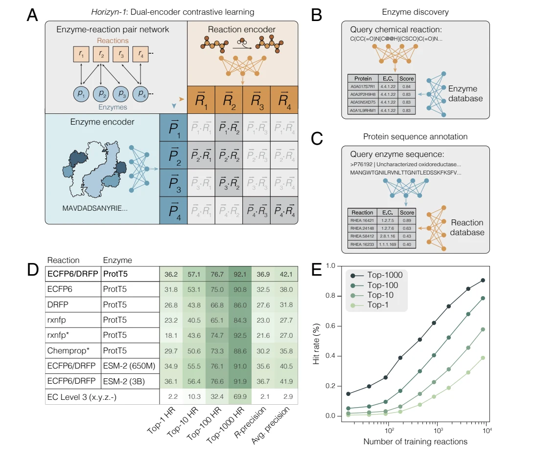 Figure 1 from Dual-encoder contrastive learning accelerates enzyme discovery