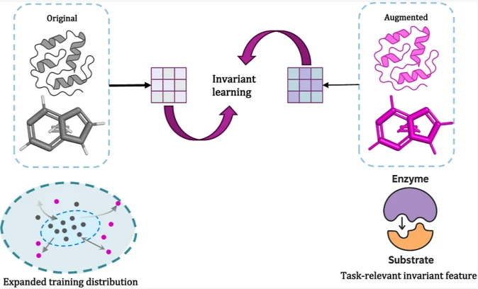 Graphical abstract from Pseudodata-Guided Invariant Representation Learning Boosts the Out-of-Distribution Generalization in Enzymatic Kinetic Parameter Prediction