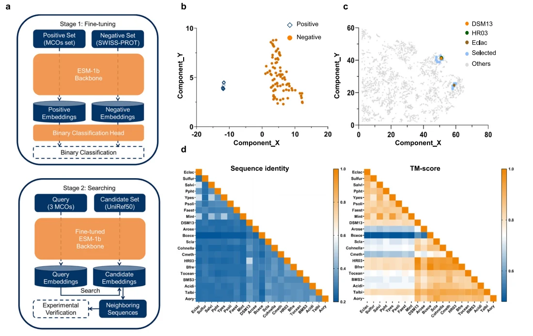 Figure 1 from ESM-Ezy: a deep learning strategy for the mining of novel multicopper oxidases with superior properties