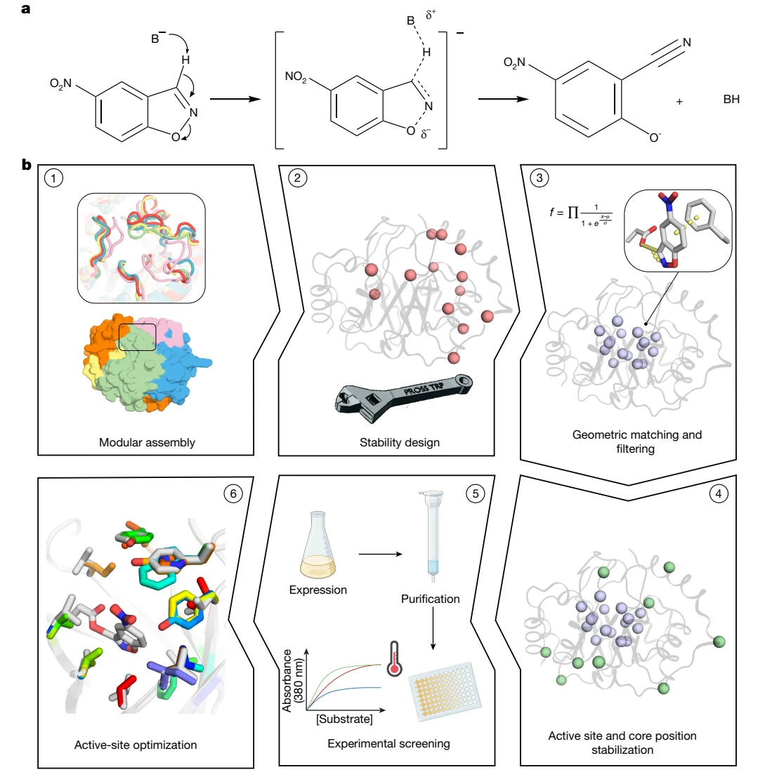 Figure 1 from Complete computational design of high-efficiency Kemp elimination enzymes