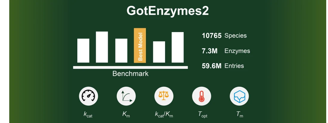 Graphical abstract from GotEnzymes2: expanding coverage of enzyme kinetics and thermal properties