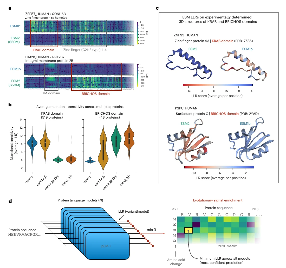 Figure 1 from Compressing the collective knowledge of ESM into a single protein language model